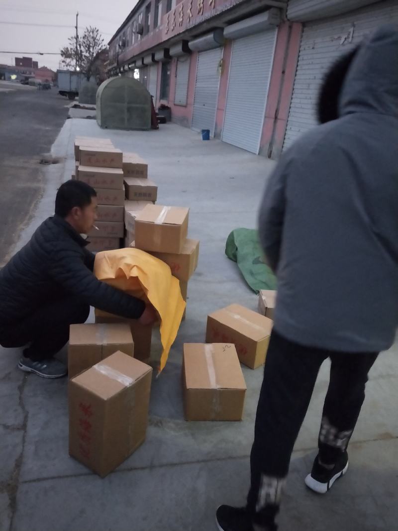 山东冯家金钩海米！虾仁自家加工批发零售大小都有一手货源