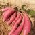山东沙地西瓜红平度莱西威海沙土地烟薯二五低价千亩基地
