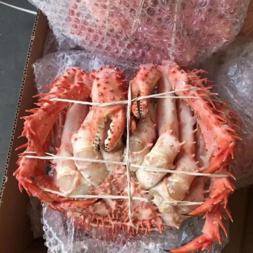 帝王蟹大量到货手续齐全