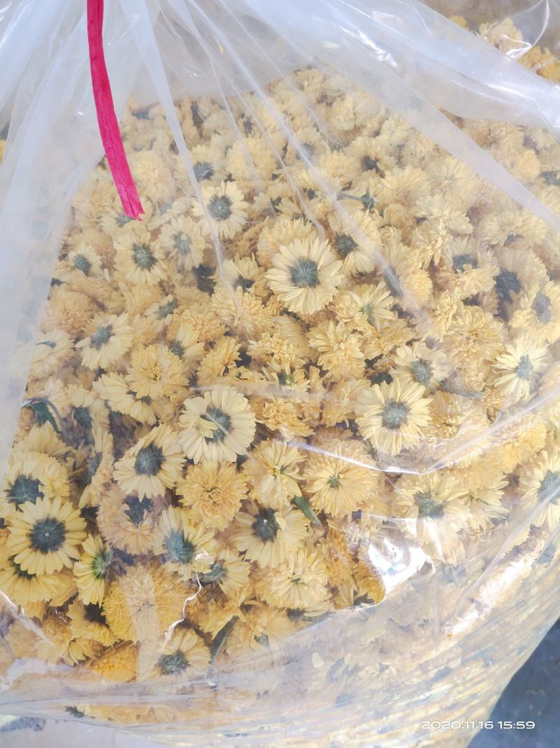 菊花种植基地河南茂林菊业直供(桃菊精品)