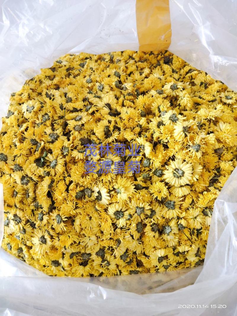 皇菊茶(婺源皇菊，想喝茶的可以加关注)河南茂林菊业合作社