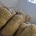 皇菊茶(婺源皇菊，想喝茶的可以加关注)河南茂林菊业合作社