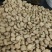 张家口蚕豆新鲜干蚕豆农家蚕豆口感酥脆回味无穷
