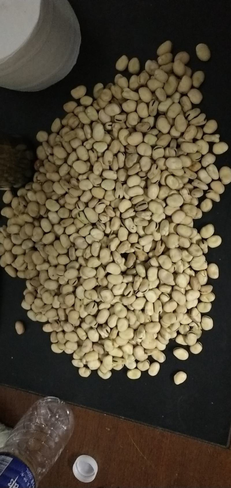 张家口蚕豆新鲜干蚕豆农家蚕豆口感酥脆回味无穷