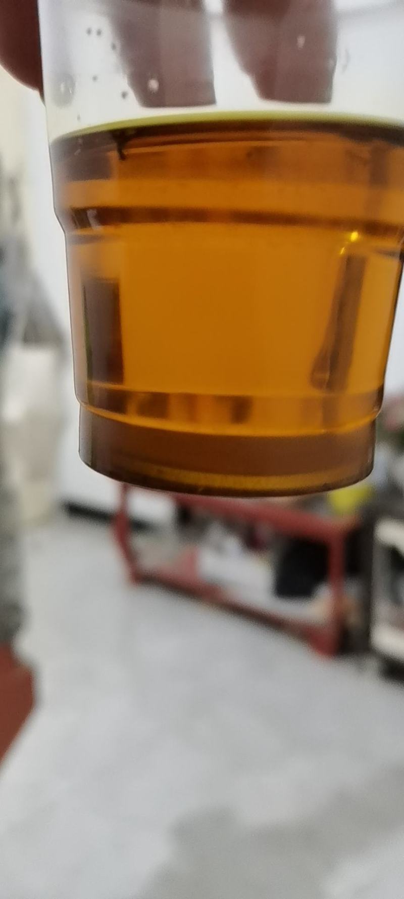 汉中油菜籽，油色金黄，全脂含油41，水份8点，香味浓郁。