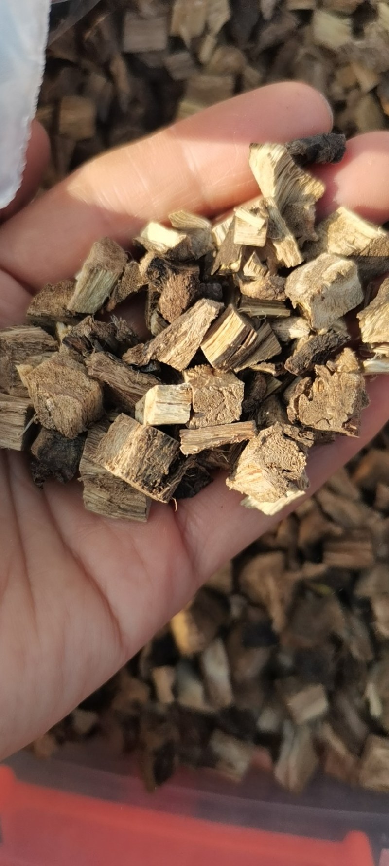 深山野生柴葛根新货无硫葛根块柴葛新品上架