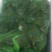 牛蛙，蛙类，大量价优，品质优量，物美价廉