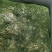 牛蛙，蛙类，大量价优，品质优量，物美价廉