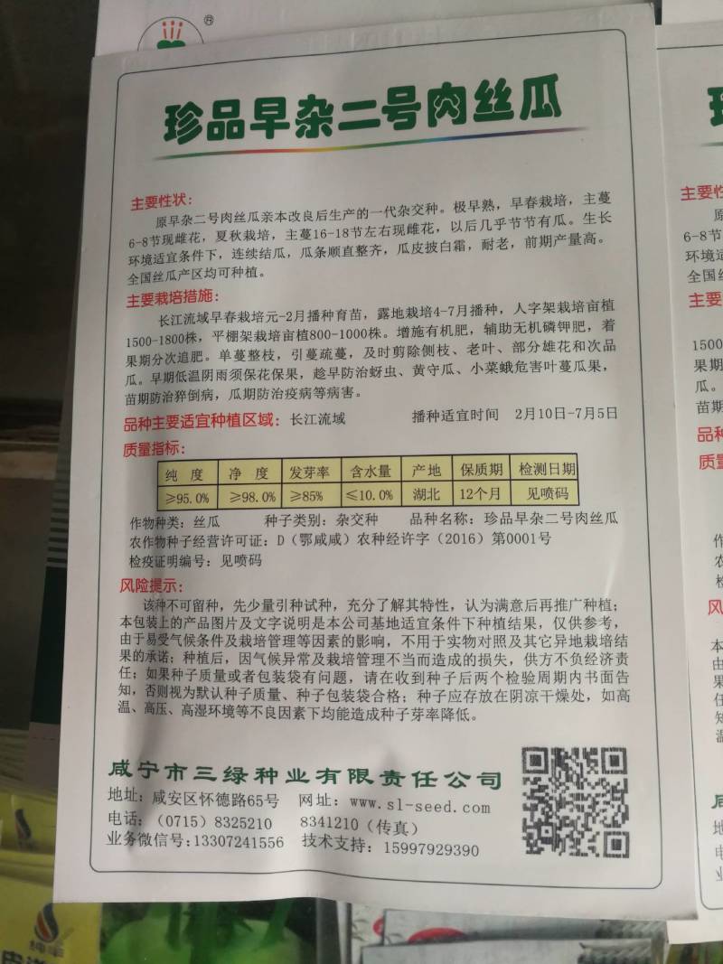 早杂二号肉丝瓜一代杂交种极早熟，夏秋两用连续结瓜耐老产量