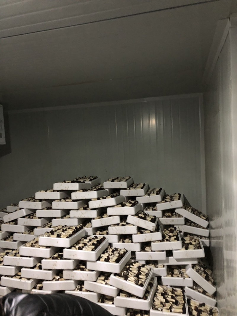 小杨新鲜大球盖菇产地直供货源稳定质量保证