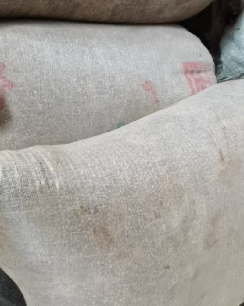 贵州土特产百里杜鹃漆树籽漆籽漆子漆蜡籽