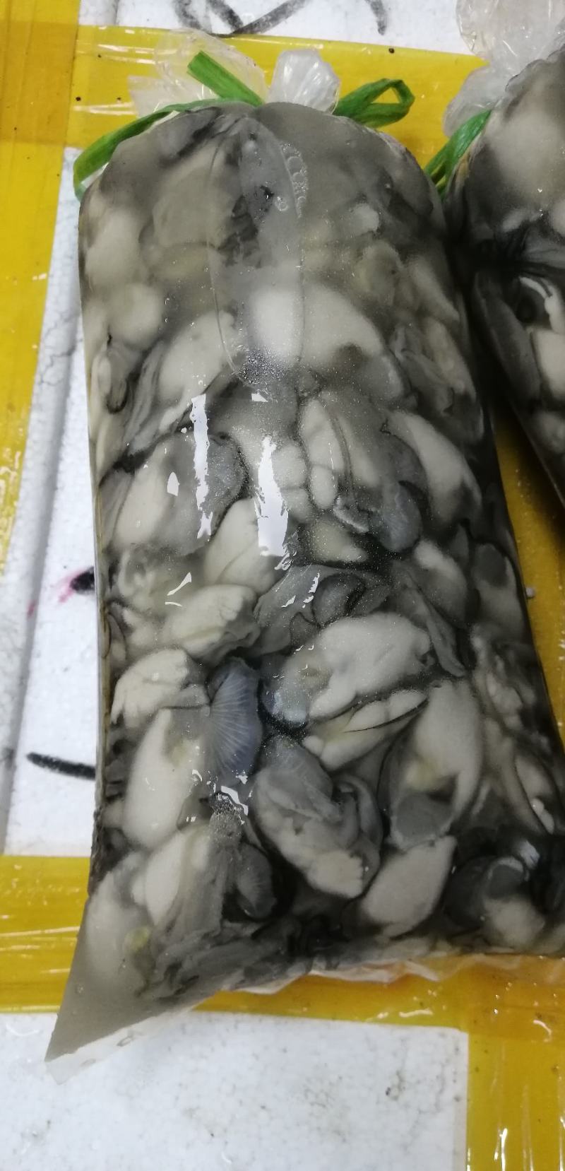生蚝