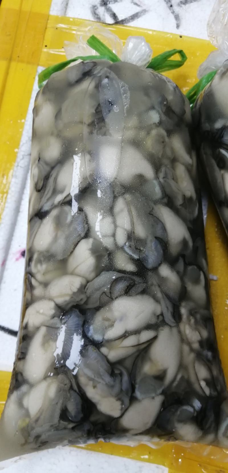 生蚝