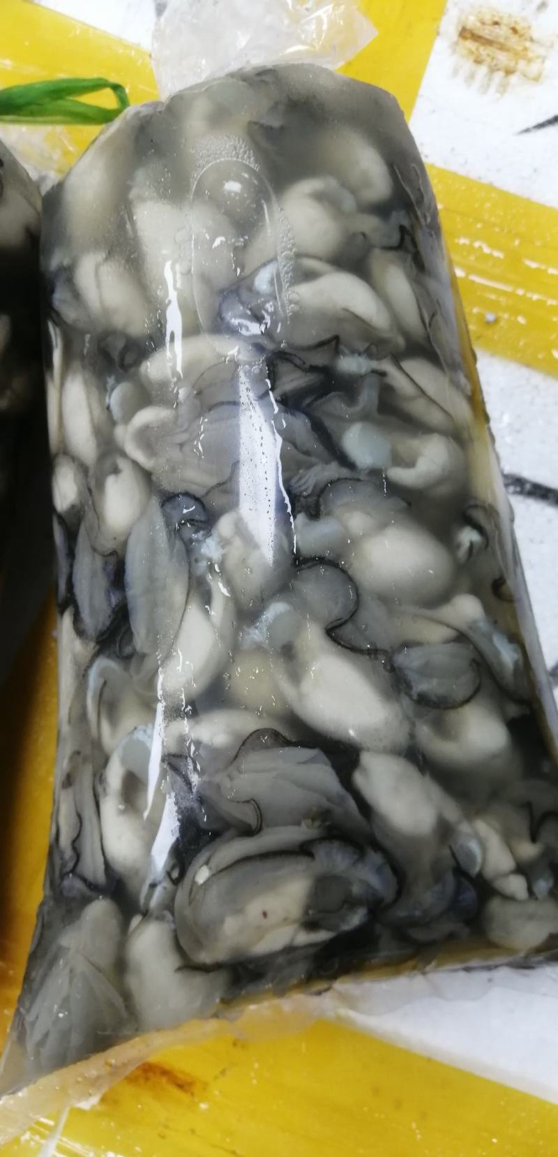 生蚝