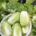 【白菜】江苏黄心白菜现砍现发可视频看货品质保证
