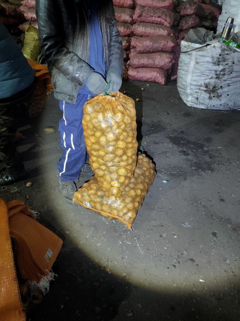 1到3小货，需要老板随时下单，级别高，皮色好看，各种种类