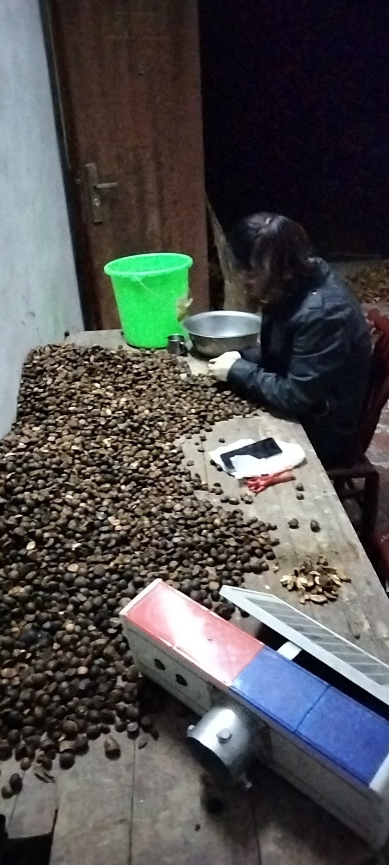 干油茶籽，精品小籽出售。