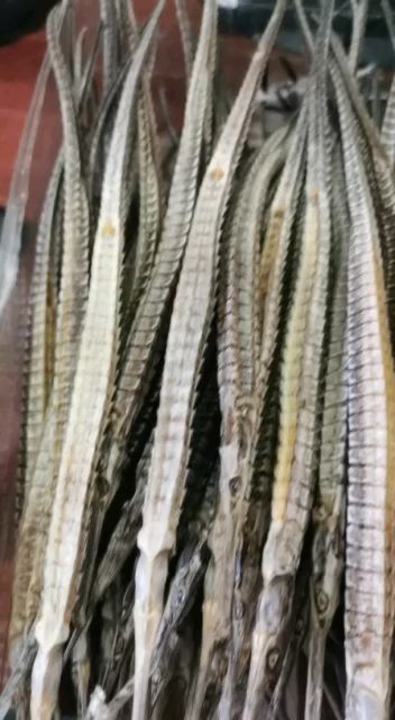 海龙六角海龙四角海龙包邮小海龙量大从优