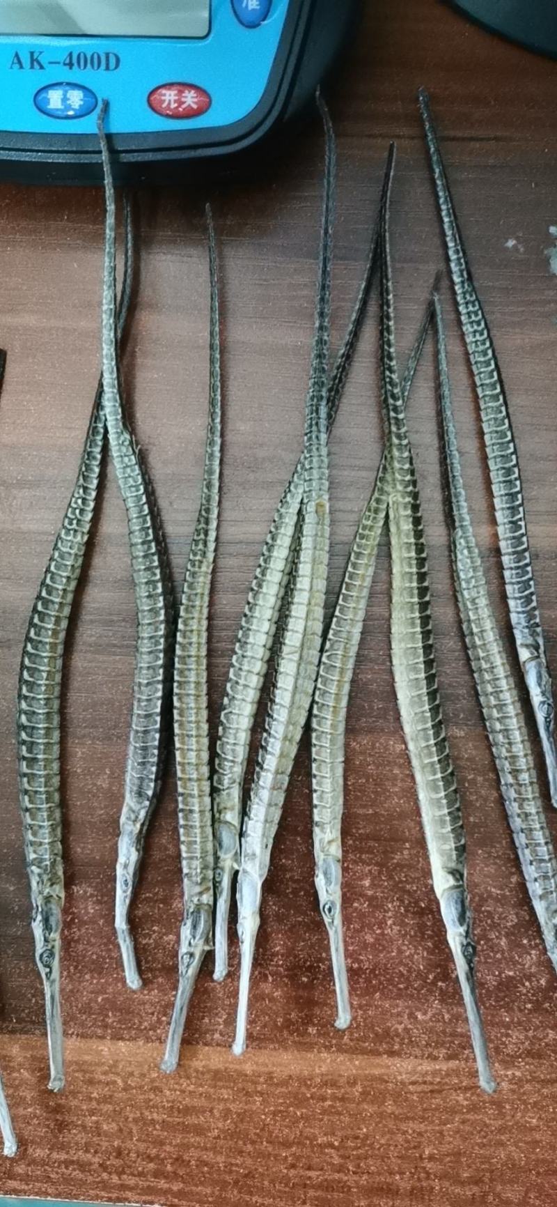 海龙六角海龙四角海龙包邮小海龙量大从优