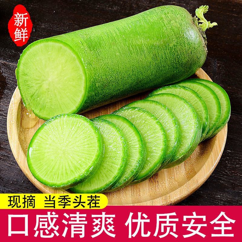 潍坊青萝卜，潍县水果萝卜，水果萝卜