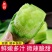 潍坊青萝卜，潍县水果萝卜，水果萝卜
