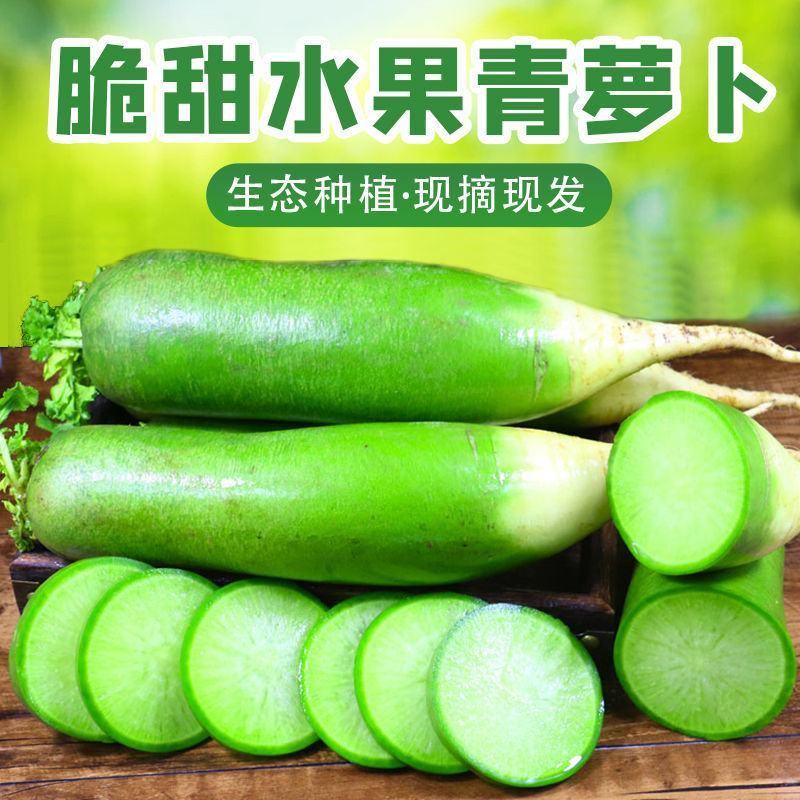 潍坊青萝卜，潍县水果萝卜，水果萝卜