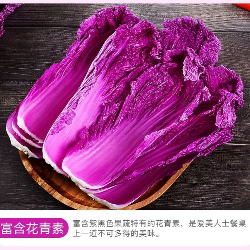 紫罗兰白菜，韩国紫裔大白菜