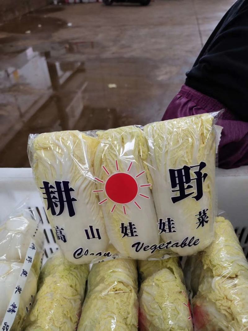 云南精品高山娃娃菜，有需要的老板请联系。量大，质量好。