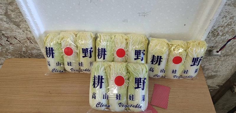 云南精品高山娃娃菜，有需要的老板请联系。量大，质量好。