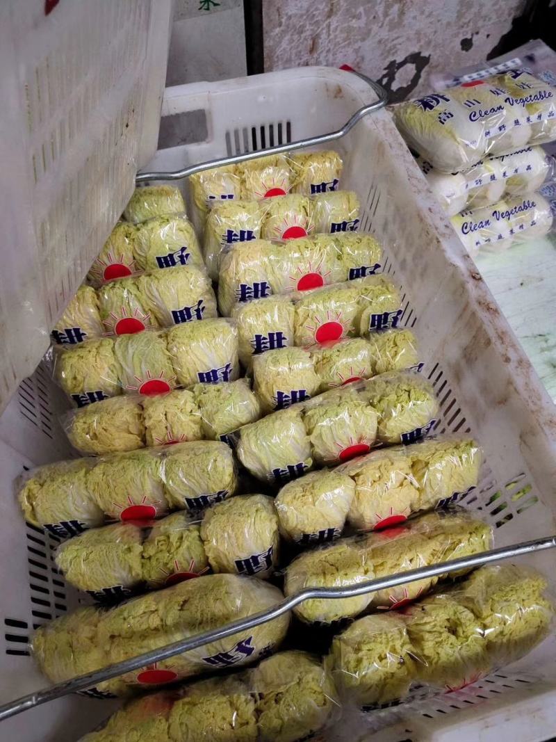 云南精品高山娃娃菜，有需要的老板请联系。量大，质量好。