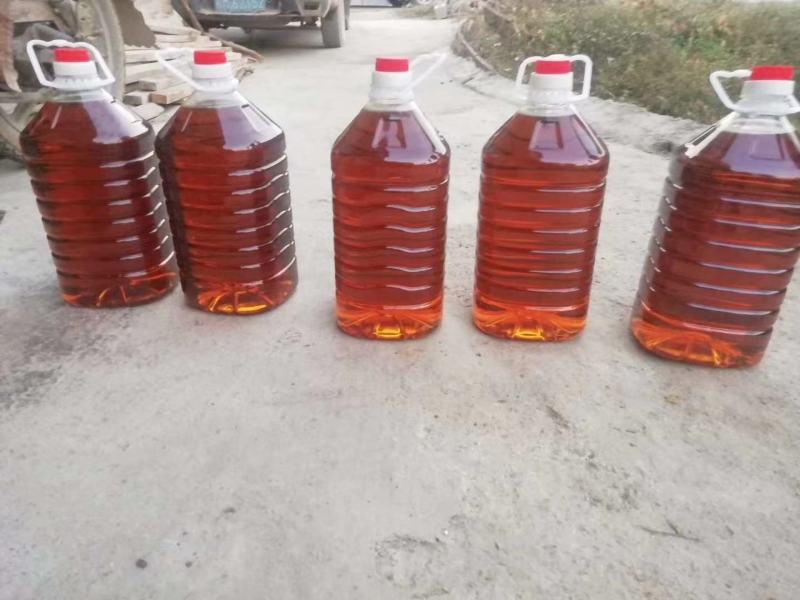 现货大量供应2021干油茶籽，欢迎洽谈采购