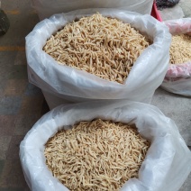 中药材，麦冬，产地湖北干净新鲜，货原充足，冷库保存