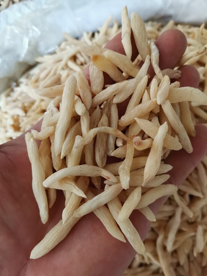 中药材，麦冬，产地湖北干净新鲜，货原充足，冷库保存