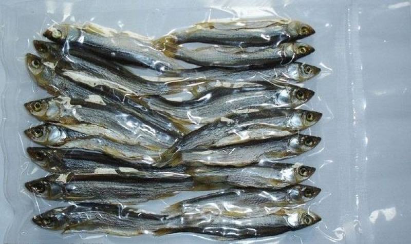 洪湖腊青鱼大自然的恩赐专业定制品质保证
