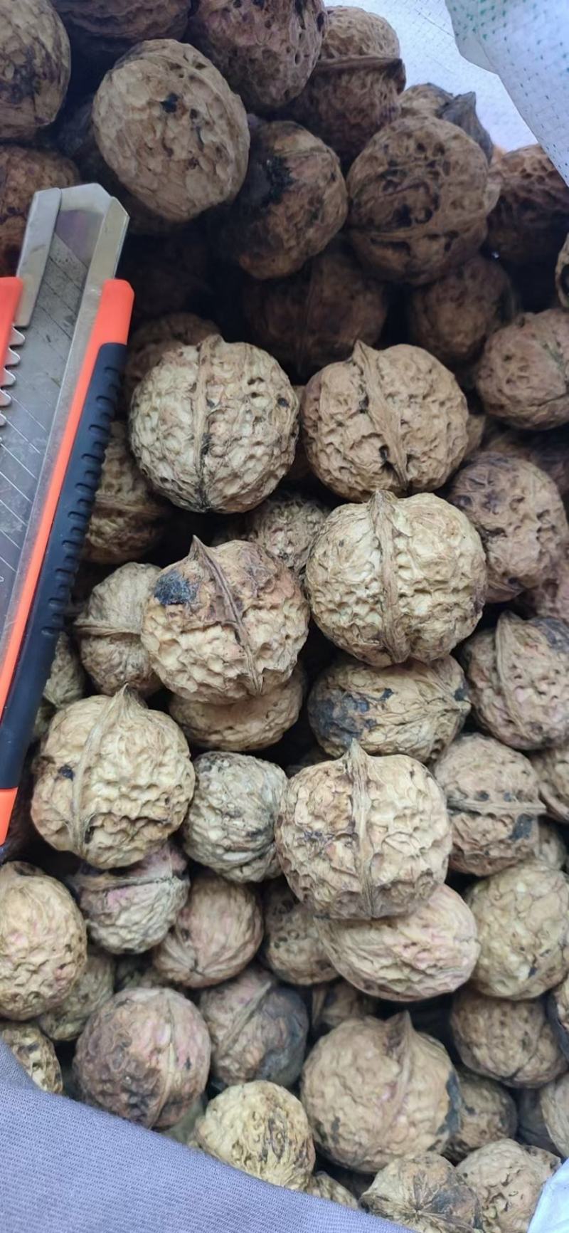 云南麻子核桃现货供应大量现货价格美丽