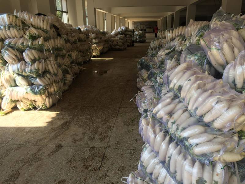 萝卜干萝卜条萝卜皮湖南衡阳特产金甲岭鸡萝卜（原胚）