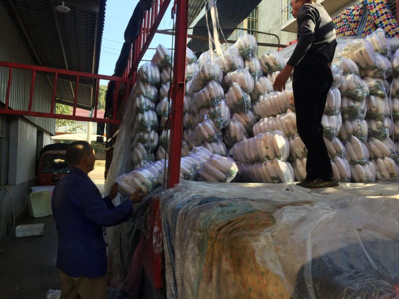 萝卜干萝卜条萝卜皮湖南衡阳特产金甲岭鸡萝卜（原胚）