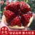 苗圃直发石榴苗突尼斯软籽蒙阳红品种齐全现挖现发