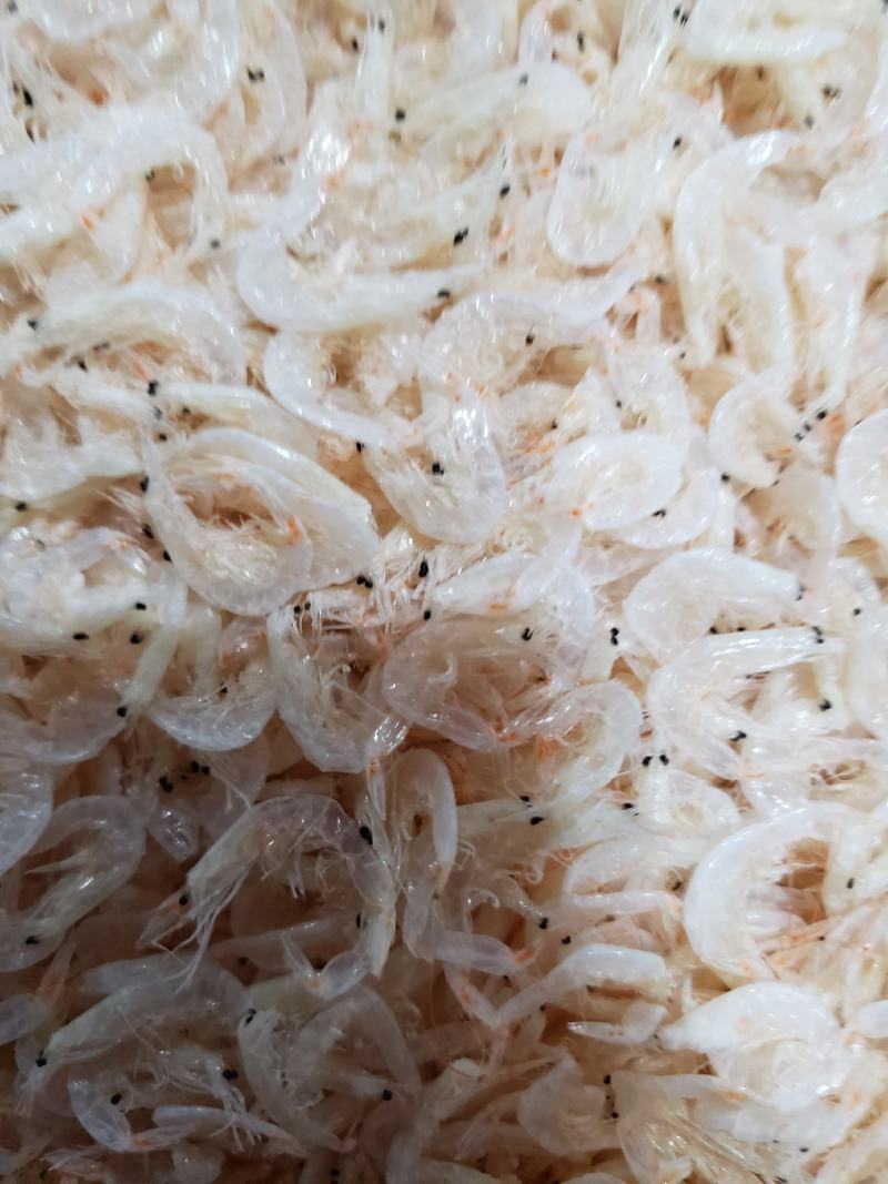 现有淡干无盐深海虾皮，干度好，不咸，一手货源