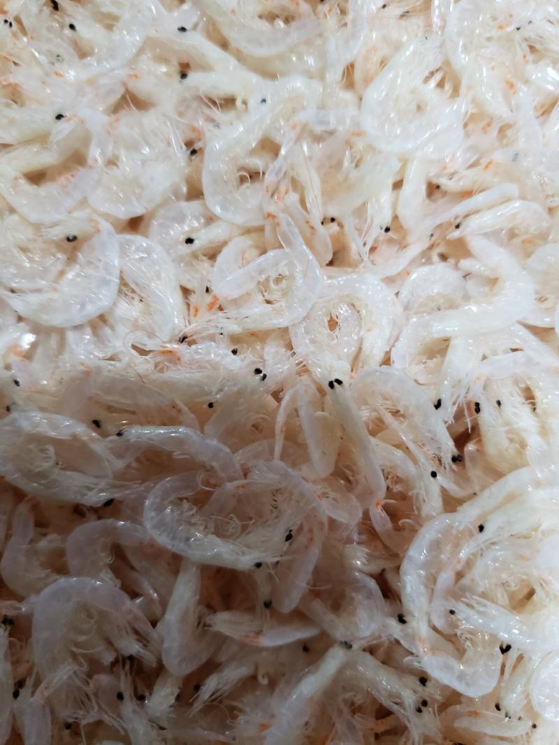 现有淡干无盐深海虾皮，干度好，不咸，一手货源