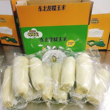 甜夹糯，加工好的熟玉米成品一级棒口感好，，，，，，，，，