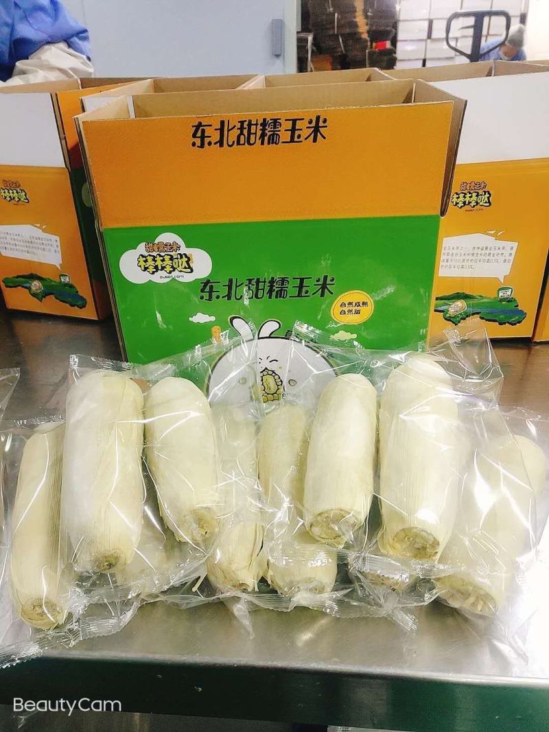 甜夹糯，加工好的熟玉米成品一级棒口感好，，，，，，，，，