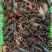 供应优质清水小龙虾，品种齐全，货源稳定，养殖场直供货源。