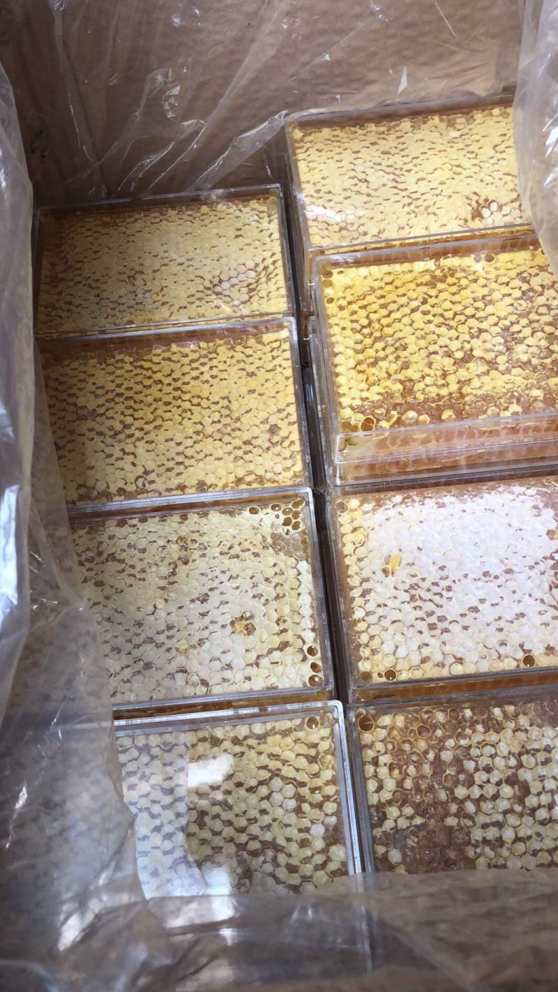 百花巢蜜荆条巢蜜原蜜天然品质高包邮可做一件代发