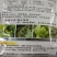 杀菌剂霜脲·锰锌霜霉病专用杀菌剂