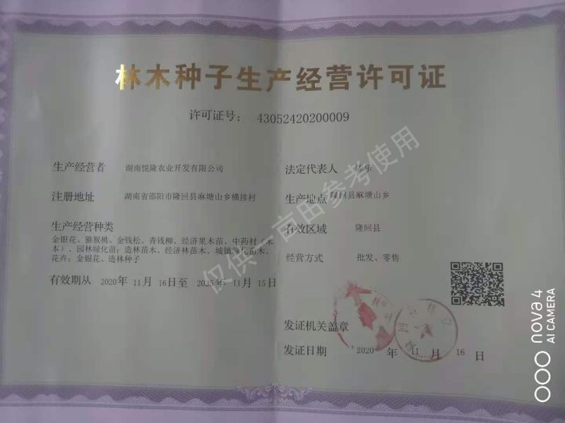 优质黄精种苗姜形倒苗，产量高发芽率快全芽头产地直发