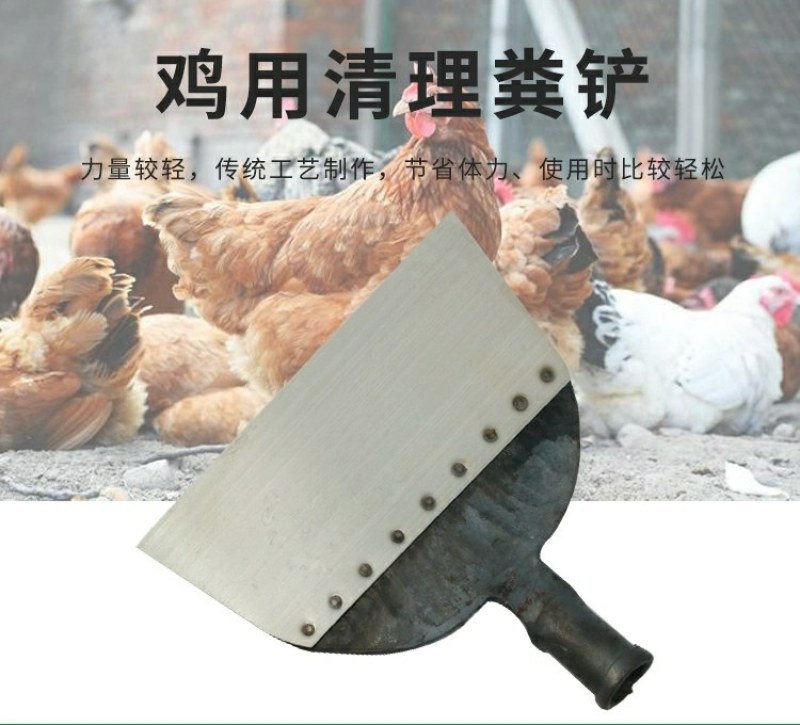 新款鸡粪铲鸡屎铲畜牧清洁铲养殖场清洁工具猪粪铲猪屎铲家禽