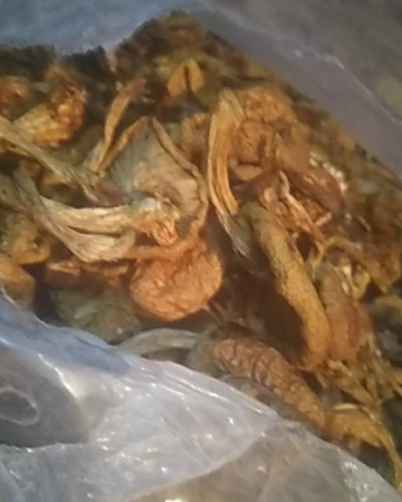 优质，黑头，红蘑滑子菇，