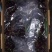 【直供包机】智利空运车厘子SANTINA3JD10斤