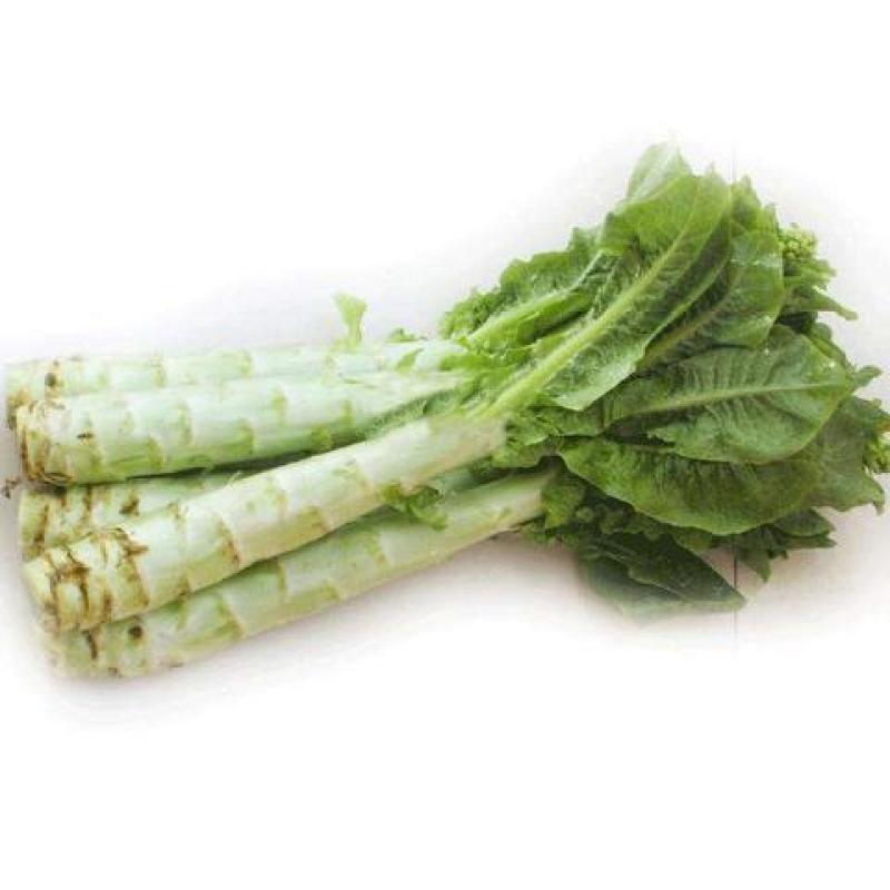 万亩蔬菜基地白皮莴笋大量上市